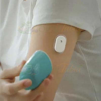 Sibionics GS1 — صورة المنتج