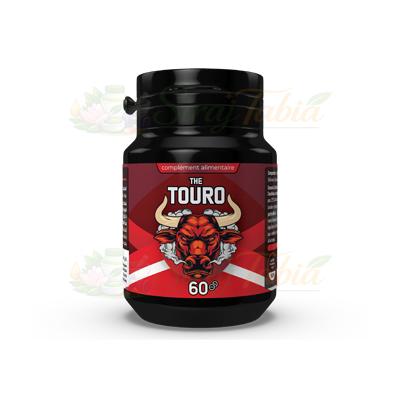 The Touro